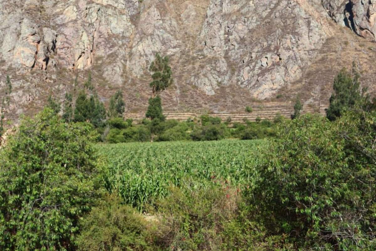 A rocky mountain landscape with a field in the foreground.