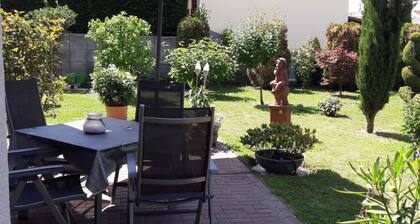 To the Vineyard in Grosskarlbach-pfalz