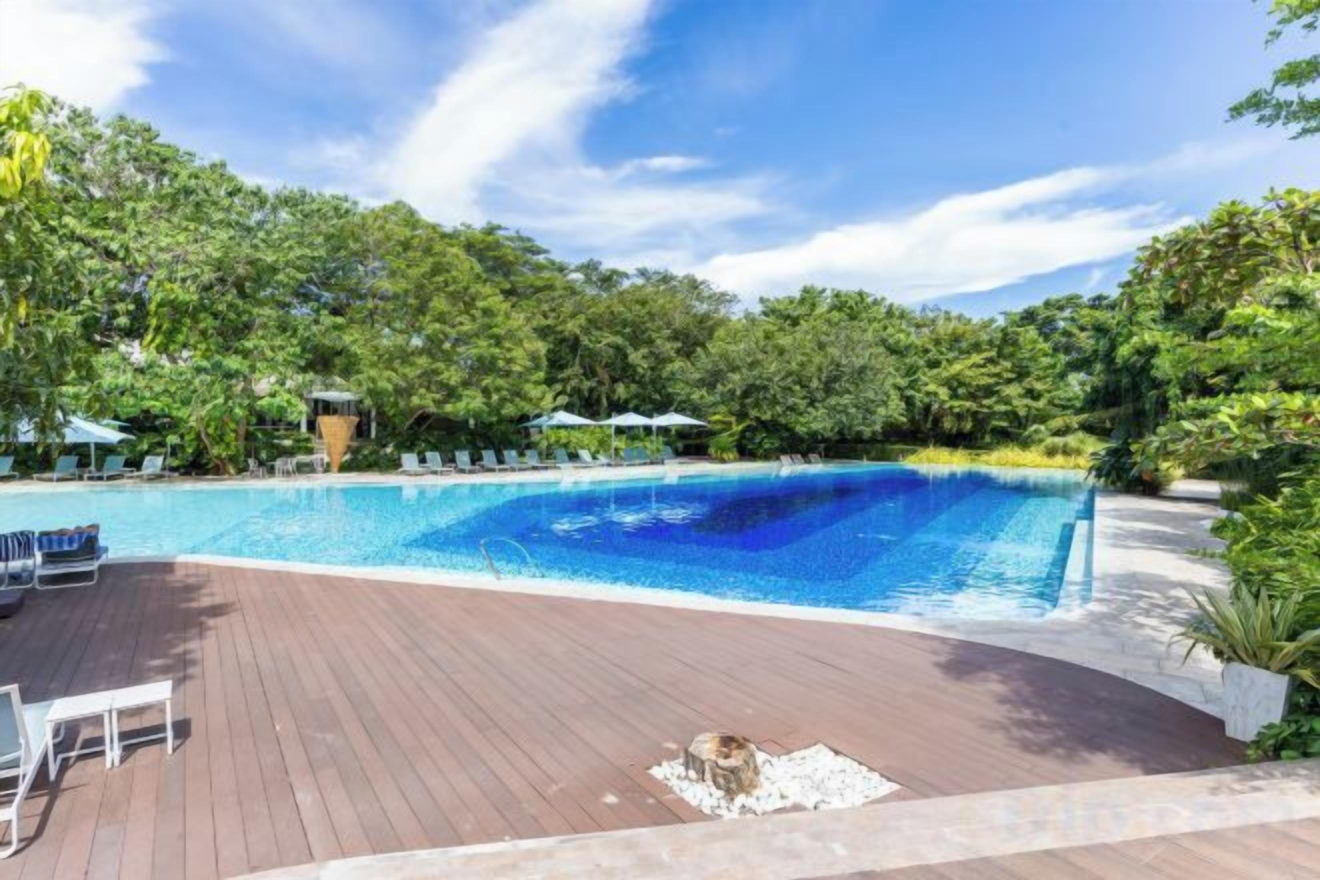 A swimming pool with a wooden deck, surrounded by lush greenery and trees.