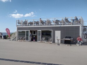 Exterior - Friesenlandhaus Norddeich (Norden)