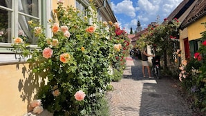House | Exterior - 4 Person Holiday Home in Visby (Visby)