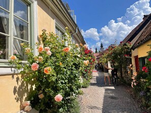 House | Exterior - 4 Person Holiday Home in Visby (Visby)