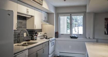 Modern cozy condo located close to ski area and Nordic Center in Breckenridge!