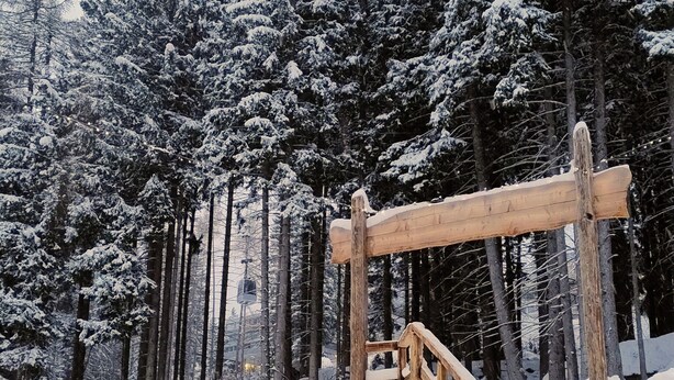 A wooden staircase leading up a snowy slope, surrounded by snow-covered trees. - Ale 1206 Marilleva 1400, Direct access to slopes  (Marilleva 1400)