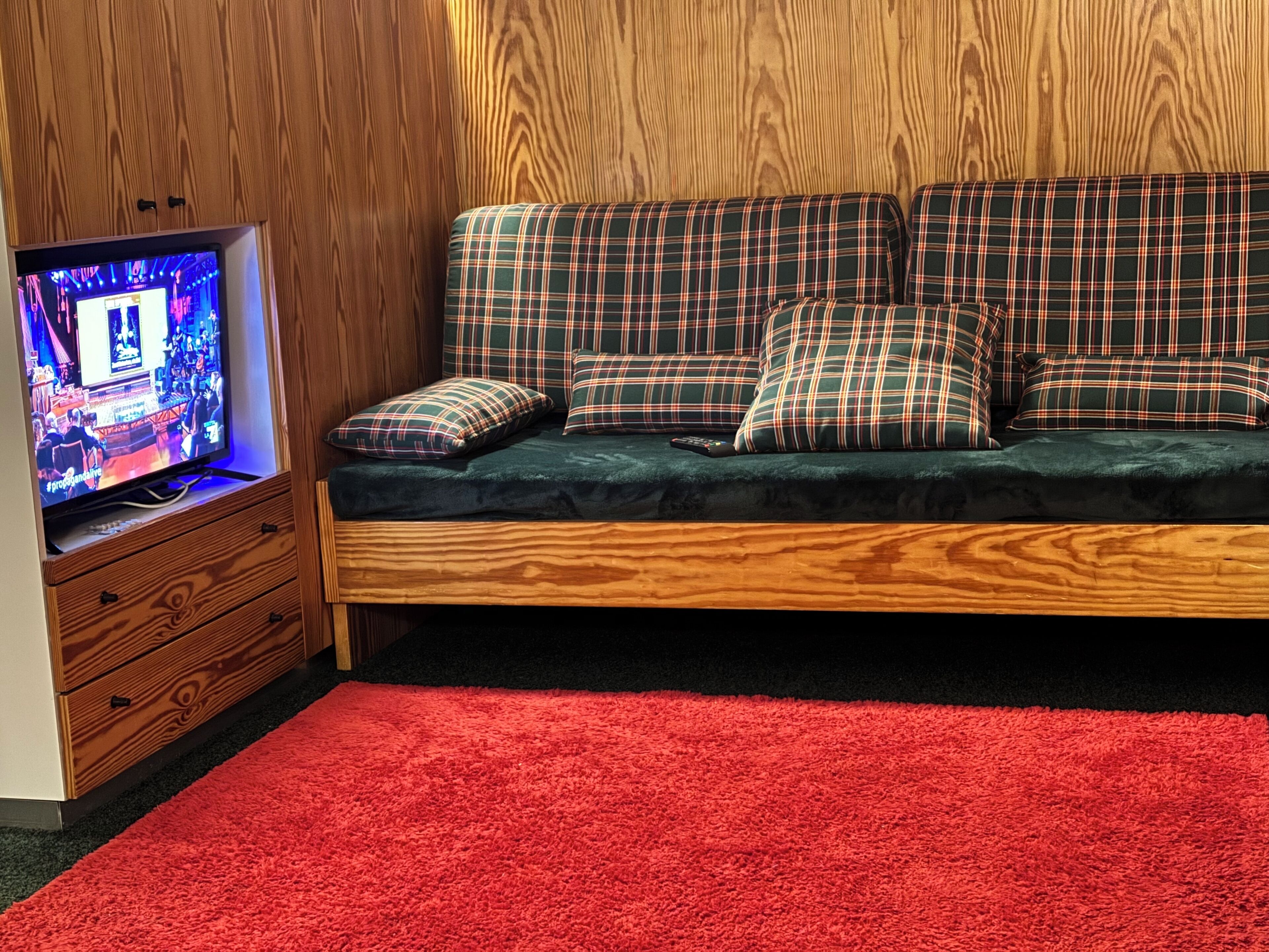 A cozy room with a wooden wall, a plaid sofa, a red carpet, and a television on a wooden stand.