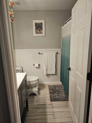 Une salle de bain avec des toilettes, un lavabo et un rideau de douche.