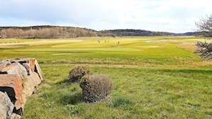 Golfkenttä, jossa on kivimuuri, pieni pensas ja kauempana kohoava kukkula.