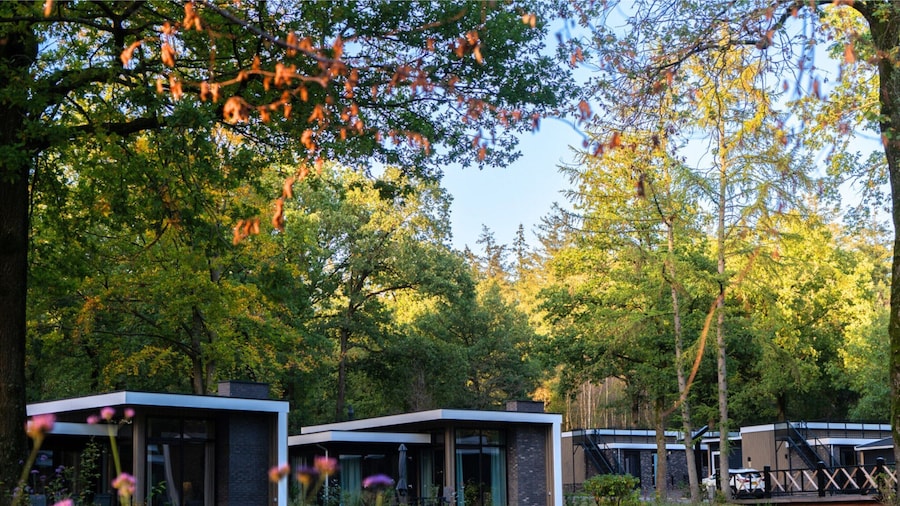 Modern Holiday Home With Decorative Fireplace