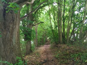 Bungalow | Exteriör
