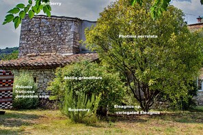 Jardines del alojamiento