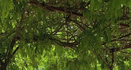 Chambre en Plein Cœur du Village de Saint Hippolyte du Fort