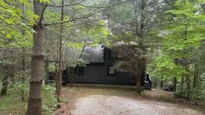A rustic cabin surrounded by dense forest. - Cedar  Gap  Hideaway (Birdseye)