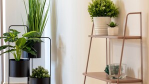 A corner of a room with a white wall, a metal shelf with plants, and a black metal stand holding potted plants. - Sardinia Re - Emerald House (Sassari)