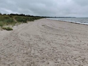 A sandy beach with tire tracks leading to the water, surrounded by grass and trees. - 6 Person Holiday Home in Idestrup (Idestrup)
