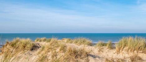 公寓 | 住宿景觀