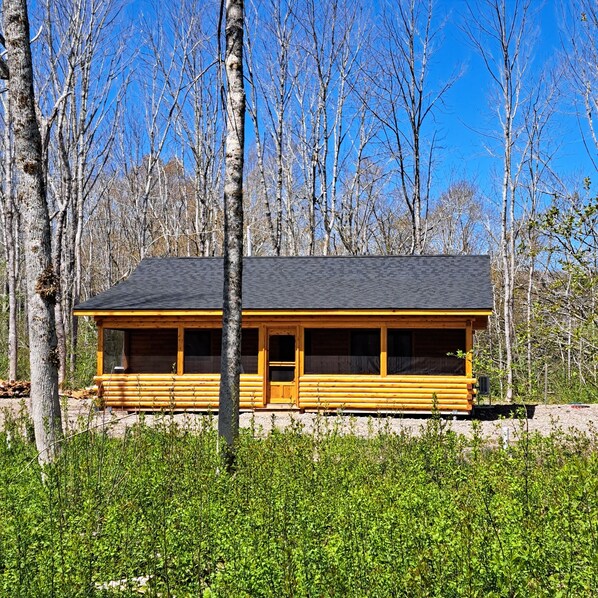 A cabin with a dark roof, wooden walls, and a single door. It is surrounded by trees and has a clear sky above.