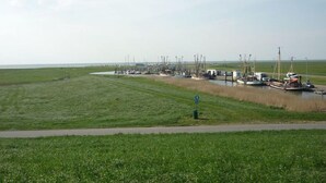 A marina with boats docked along a grassy shoreline. - North Sea Holiday House Wellmeyer (Wurster Nordseeküste)