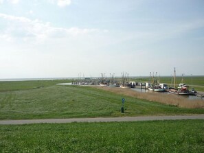 Golf - North Sea Holiday House Wellmeyer (Wurster Nordseeküste)