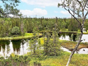 Un paisaje natural con un lago rodeado de un bosque denso y algunos árboles dispersos.