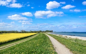 Un paysage rural avec un chemin de terre menant à un plan d’eau, entouré de champs de fleurs jaunes et d’herbe verte.