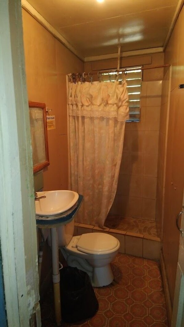 Une petite salle de bain avec des toilettes, un lavabo et un rideau de douche.