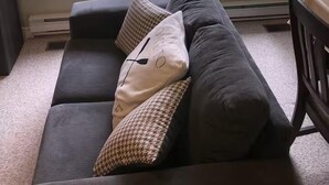 Ein Zimmer mit einem grauen Sofa, einem Fenster mit Blick auf eine Holzterrasse und Grünflächen, sowie einer wandmontierten Leuchte.