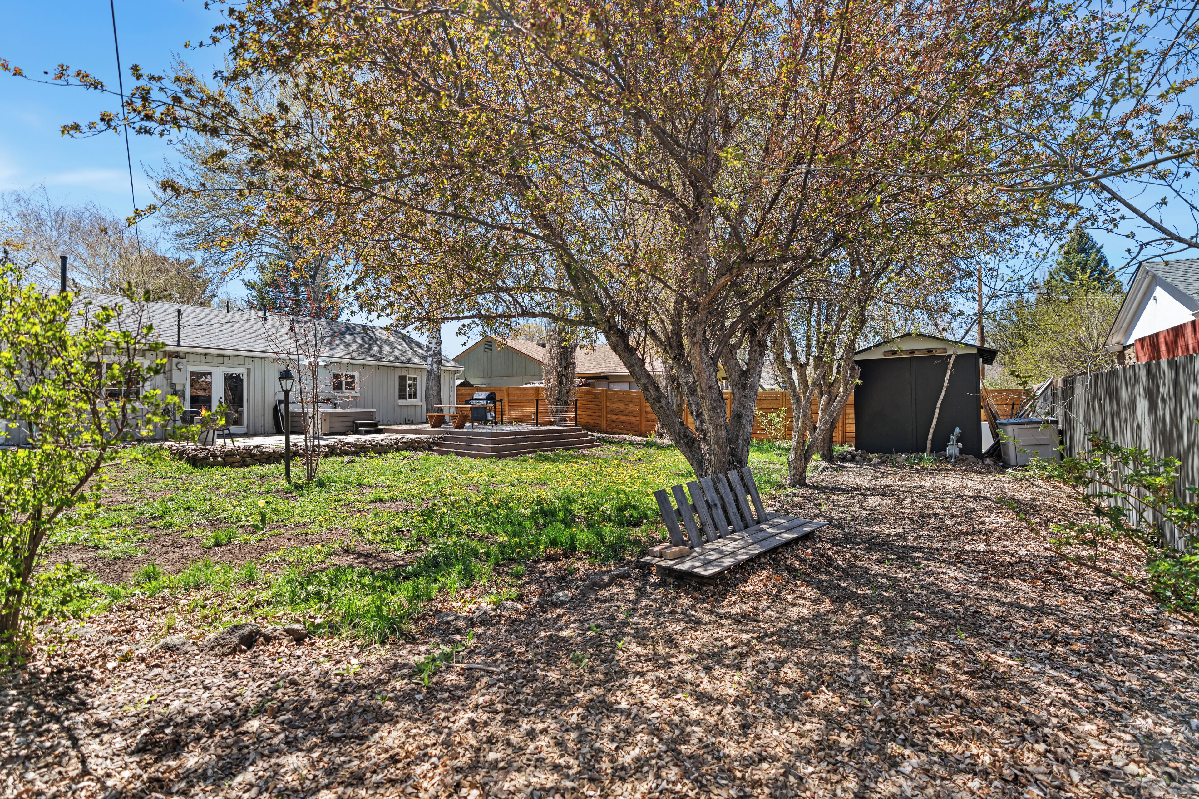 A backyard with a wooden bench, a tree, and a shed.