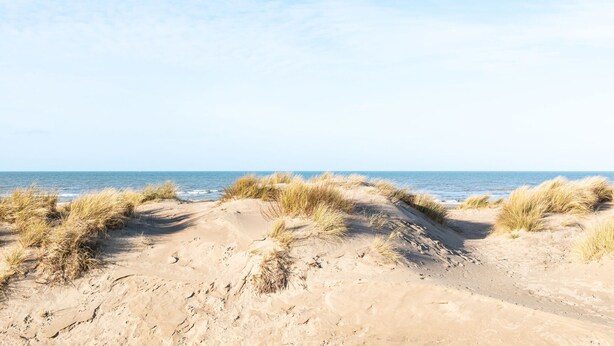 A sandy beach with dunes and the ocean in the background. - Apartment Near Oostduinkerke Nature Reserve (Koksijde)