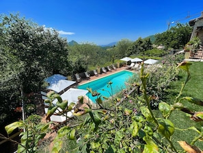 A pool with lounge chairs and umbrellas, surrounded by greenery and hills.