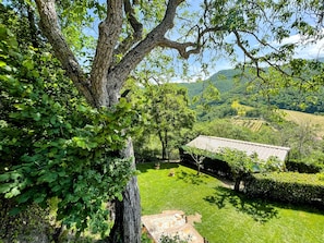 A tree-lined courtyard with a stone bench and a small building with a tiled roof.