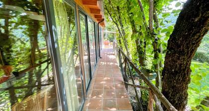Luxurious Umbrian Retreat for 10 With Private Terrace and Pool