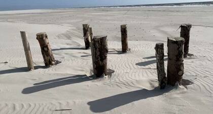 "lee" in House Smaswai 10