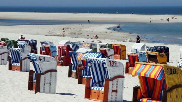 Sillas de playa con números, dispuestas sobre la arena.