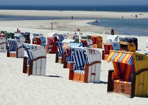 Property grounds - "lee" in House Smaswai 10 (Nebel)