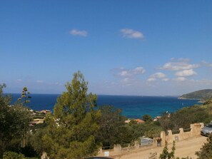 ビーチ / オーシャン ビュー