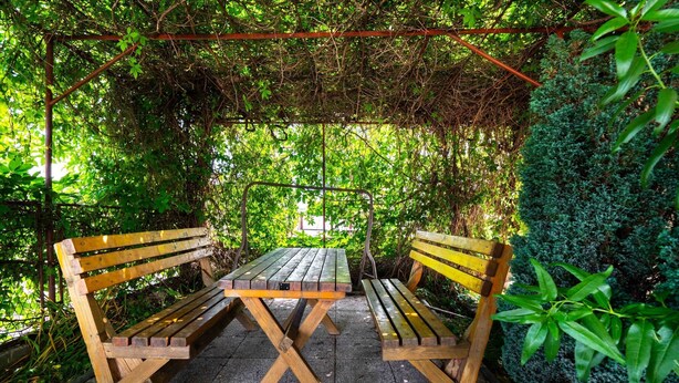 Juego de banco y mesa de madera bajo una pérgola con follaje.