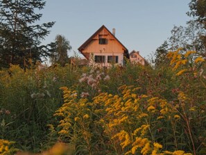 A wooden house surrounded by wildflowers and trees. - Kellerstockl am Hamerlberg/strem (Strem)