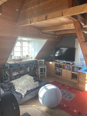 3 bedrooms, iron/ironing board, WiFi, bed sheets - Boheme House bye the sea (Lønstrup)