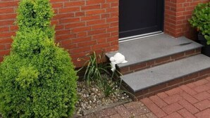 A brick house with a black door, a window with a white frame, and a small garden with a trimmed bush and a potted plant. - Dinkla 1 Comfortable Holiday Residence (Dornum)