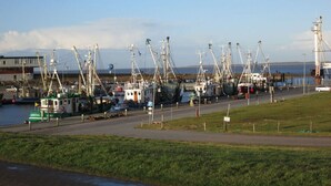 A harbor with multiple fishing boats docked, a road parallel to the water, and a grassy area in the foreground. - Dinkla 1 Comfortable Holiday Residence (Dornum)