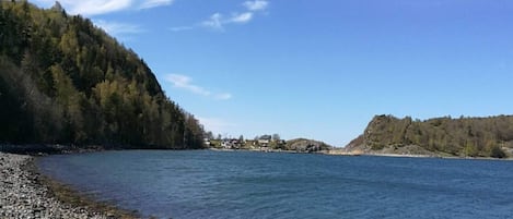 A river with a rocky shoreline, a forested hill, and a small settlement in the distance.