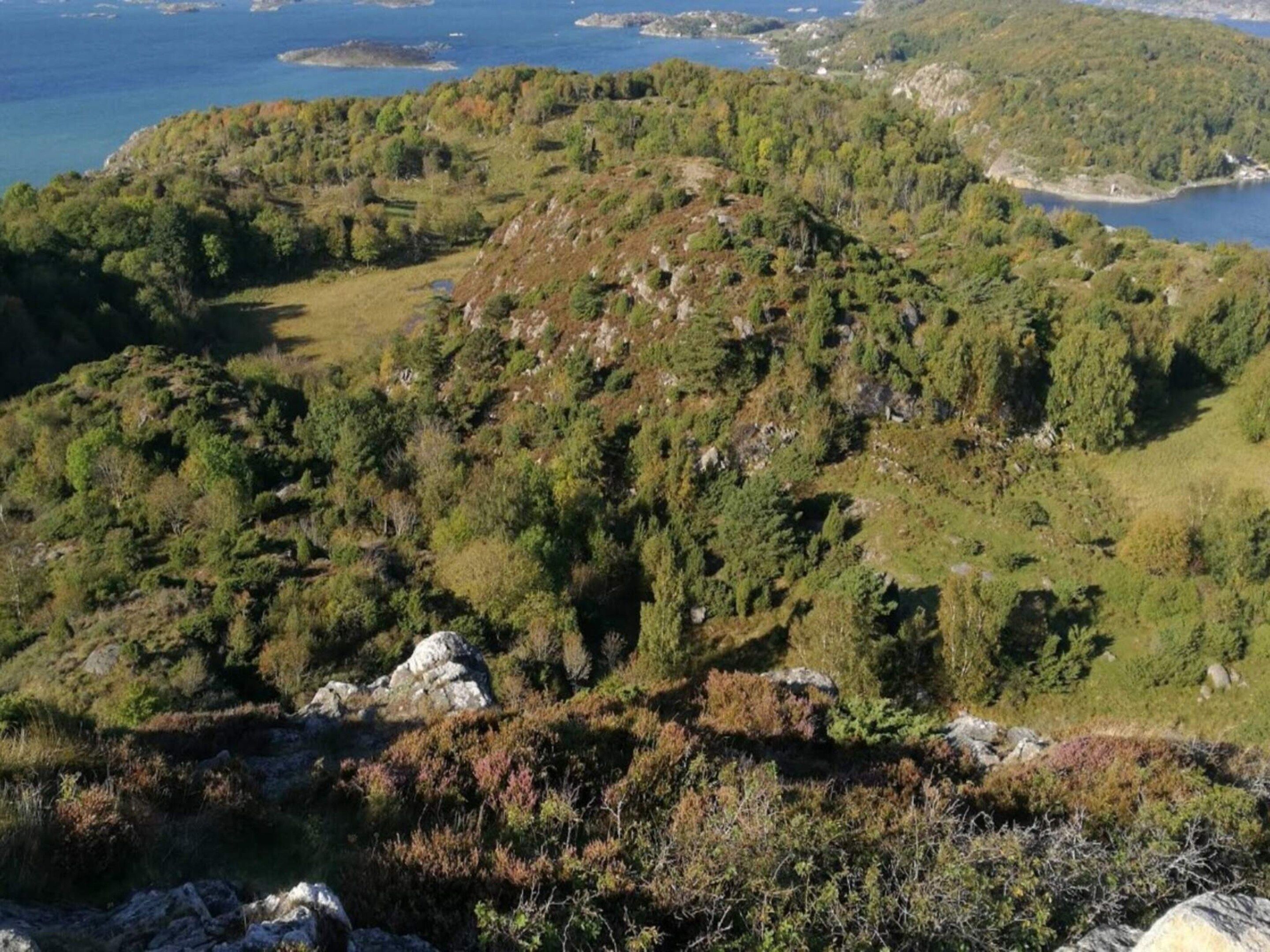 Utsikt mot vann