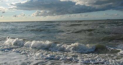 Frisian House by the sea