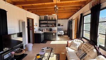 Smart TV, fireplace, DVD player, books