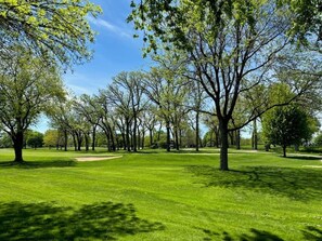 A park with a well-maintained lawn and multiple trees. - Spacious Ranch blocks away from downtown McHenry  (McHenry)