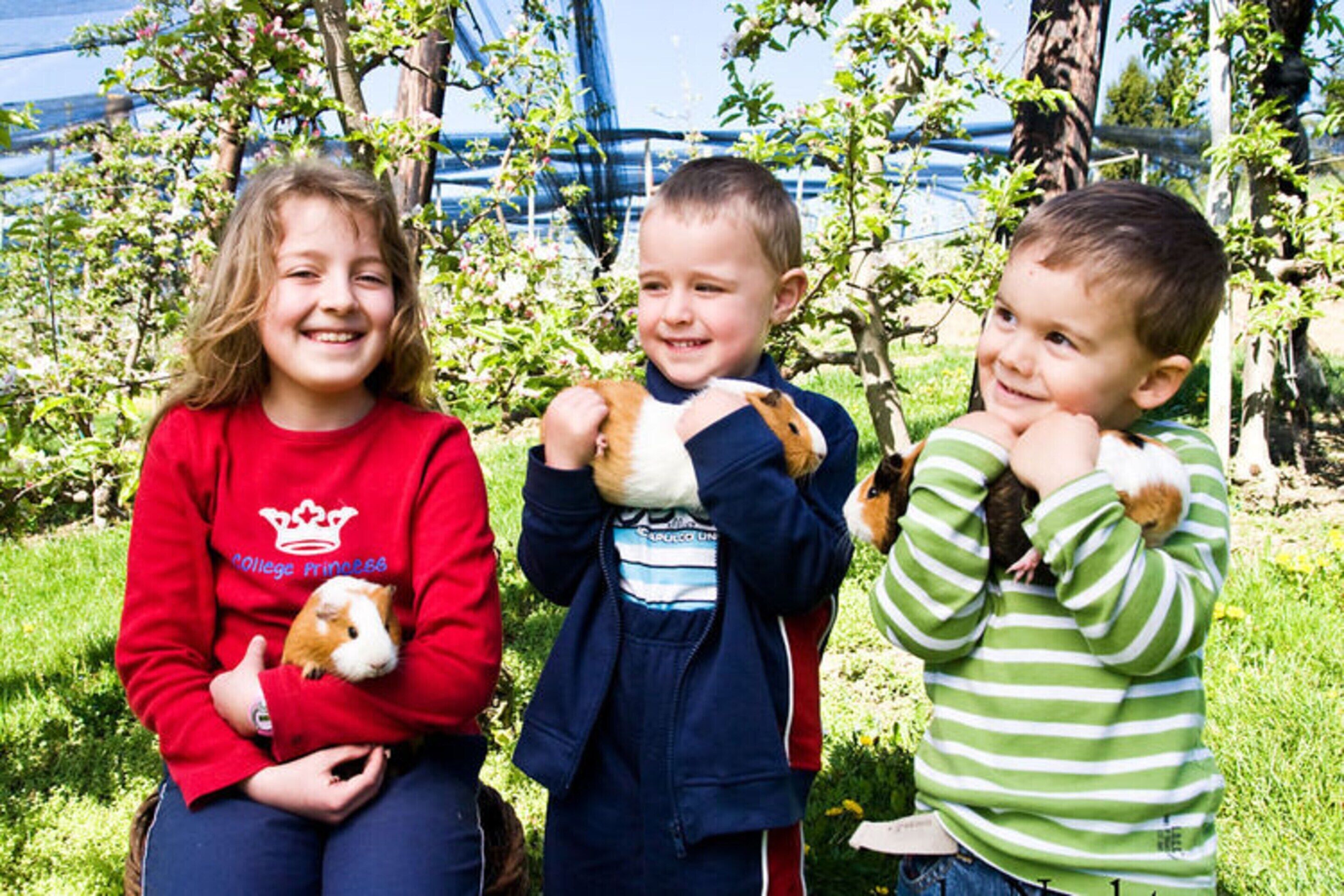 Three children holding guinea pigs in a garden with trees and a blue structure in the background.