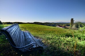 Apartment | 1 bedroom, individually furnished