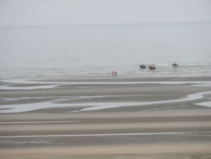 海灘