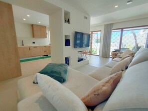 Smart TV, lareira, livros, aparelho de som