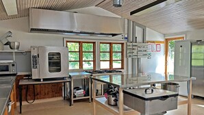 Et moderne køkken med rustfrie stålapparater, en stor ø og store vinduer, der lukker naturligt lys ind.